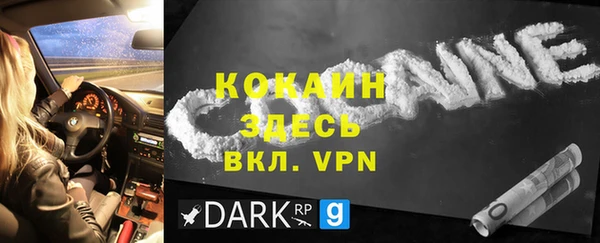apvp Алексин