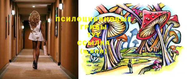 apvp Алексин