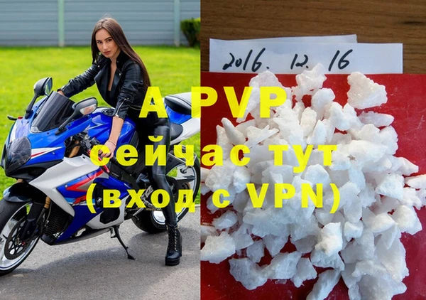 apvp Алексин
