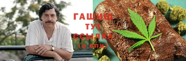 крисы Алзамай