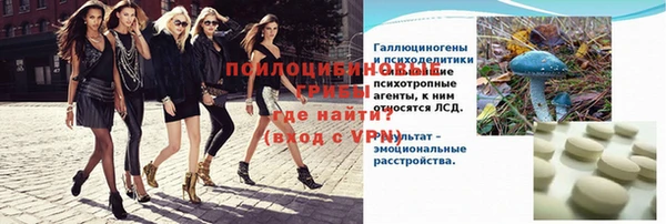крисы Алзамай